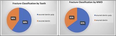 Prevalence and etiology of dentoalveolar trauma in 1,592 United States military working dogs: A 1-year retrospective study